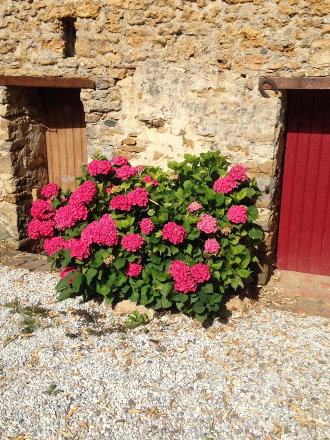 Le Clos De La Viniere Jard-sur-Mer Bagian luar foto