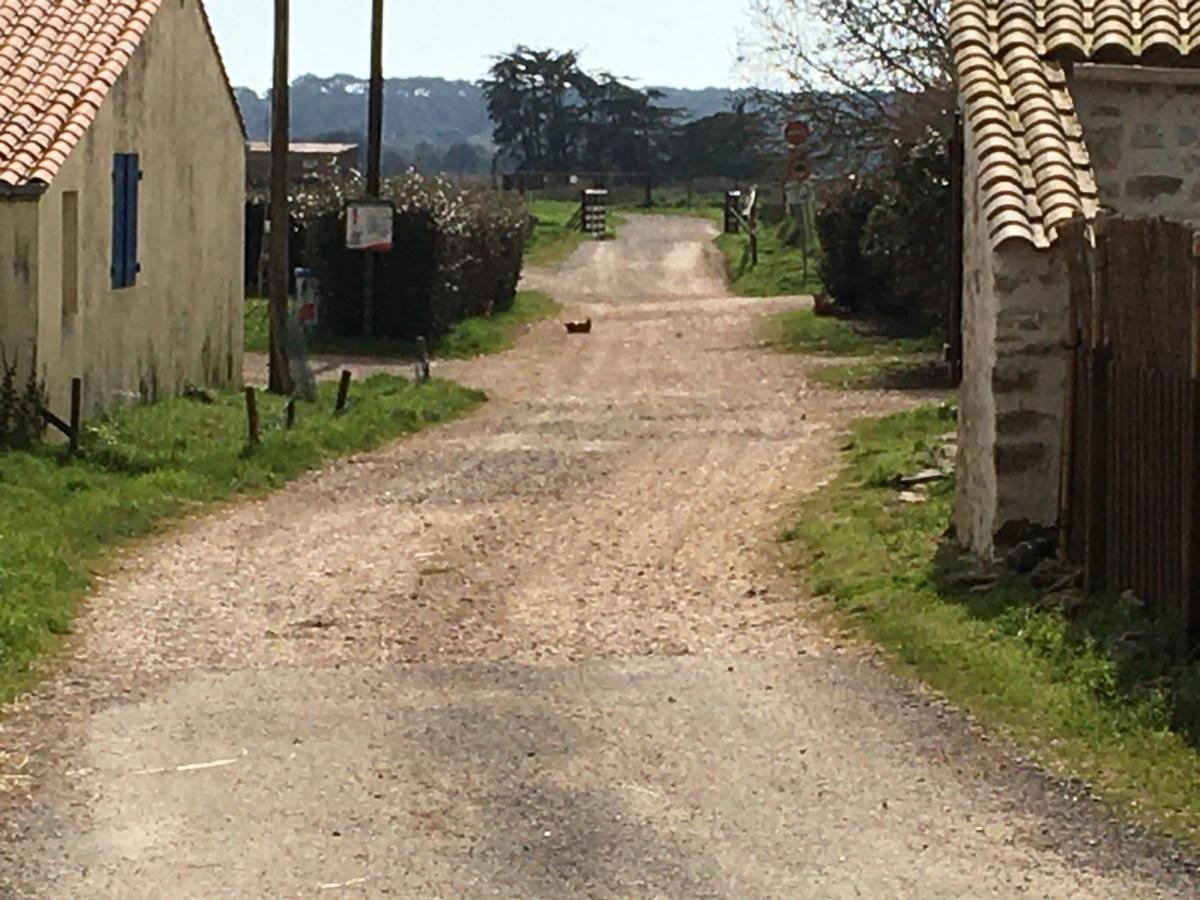 Le Clos De La Viniere Jard-sur-Mer Bagian luar foto